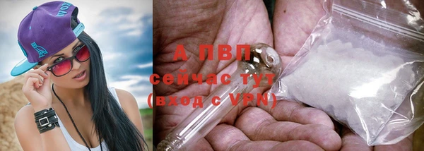 дурь Карпинск