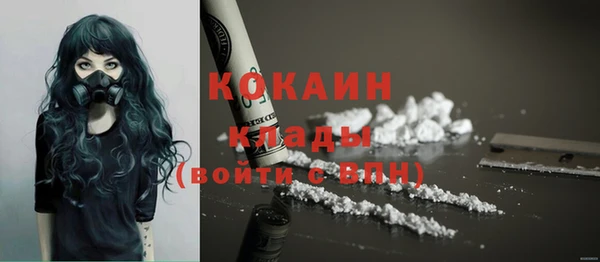 тгк Касимов
