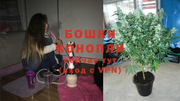 тгк Касимов
