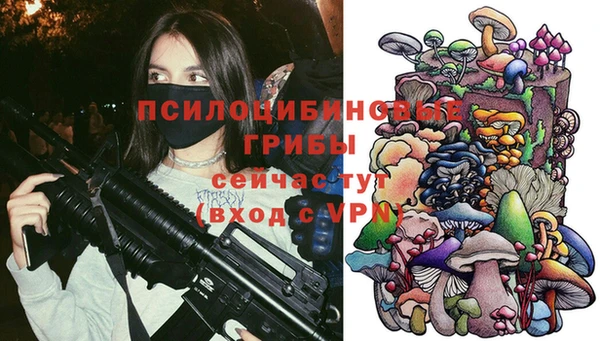 тгк Касимов