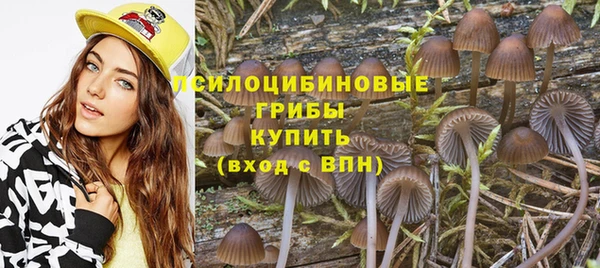 тгк Касимов