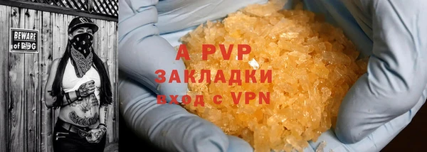 тгк Касимов