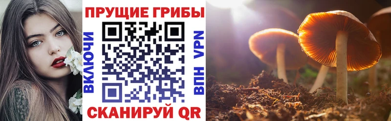 Купить закладки  Зеленокумск  Галлюциногенные грибы прущие грибы 